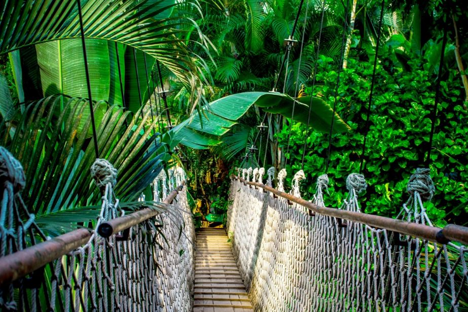 Foresta Nazionale Caraibica