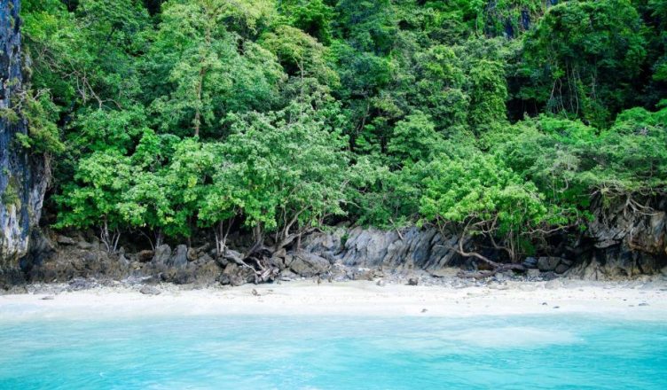 Foresta Nazionale Caraibica costa